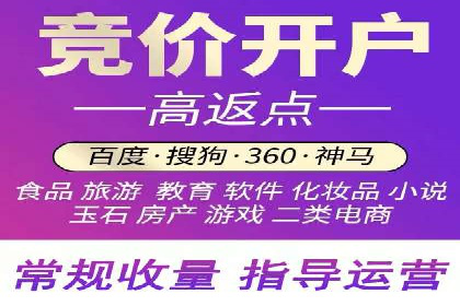 SEM外包策略在电商平台的成功案例
